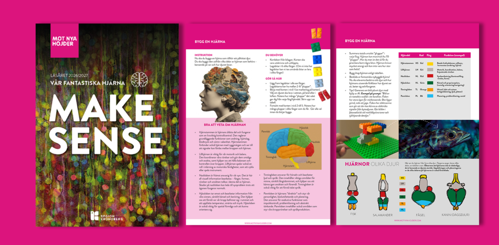 Exempelsidor från utmaningen